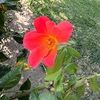 biancasaenz469